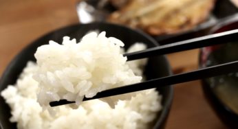 【新潟】新潟米の新ブランド！大粒でツヤめく「新之助」をいただく