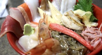 【沼津市 ランチ】魚屋直営 食堂 お魚直売所（沼津市本田町）～980円で新鮮ネタ13種盛りだくさんの海鮮丼「大漁どん」ランチ