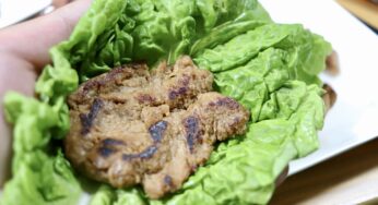【食べてみた】お肉不使用、大豆ベースの100％植物性代替肉！ネクストミーツさんの「NEXTカルビ」「NEXTハラミ」食べてみた