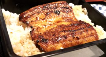 【三島市 うなぎ】うな政 三島店（三島市梅名）～980円で本格うなぎが味わえる！備長炭の炭火焼にこだわるうなぎ店が2022年6月10日オープン