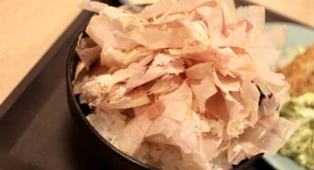 【沼津市】今だけ食べ放題！沼津港「あした葉」さんで体験してきた薄さ0.01mmの最高級ふわふわ鰹節「踊りかつを」