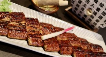 ぴんちょすの沼津ライフ